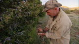 Dual Survival: Desert Foraging