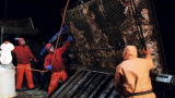 Deadliest Catch: Lucky Charm Johnathon