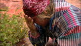 Dual Survival: Drink or Die
