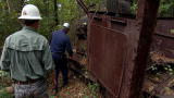 Swamp Loggers: Logging Graveyard