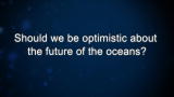 play video on Discovery Channel