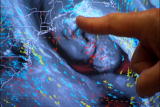Assignment Discovery Shorts II: Meteorologist