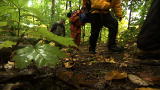 Howe and Howe Tech: Howe vs. Wild