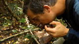 Man vs. Wild :Rainwater Fountain