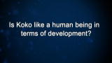 Curiosity: Is Koko like a human being in terms of development?