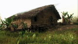 Beyond Survival: Inside the Hut