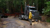 Swamp Loggers: Battle For The Roads