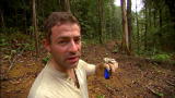 Solving History with Olly Steeds: Catching Morphos