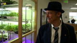 Weed Wars: Sneak Peek: Weed Wars