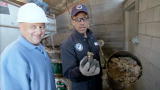 Dirty Jobs: Muffin Metaphor