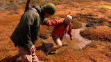 Dual Survival 2: Bog Hole Danger