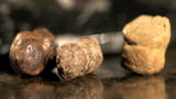 Auction Kings: Pricey Poop