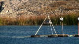 Mythbusters: Dive to Survive Angle 2