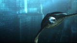 Prehistoric New York: Giant Sea Turtle