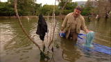 Dual Survival: Harvesting Trash
