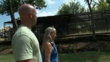 Wild Animal Repo: Exotic Destination