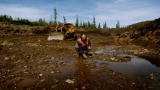 Gold Rush 2: Gold All Around