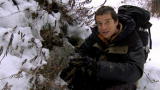 Man vs. Wild: A Meal of Moss