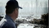 Swamp Loggers: Twist of Fate
