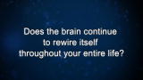 Curiosity: D. Siegel: Brain rewire itself?