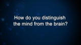 Curiosity: D. Siegel: Distinguish mind and brain?