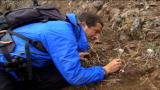 Man vs. Wild: Deadly or Edible?