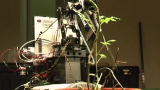 Tech: Robot Gardeners Tend Tomatoes