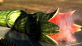 MythBusters: Bullet vs. Watermelon High-Speed