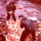 Deadliest Catch: Crab Fishing Tales