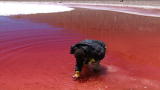 Are We Alone?: Blood-Red Lake