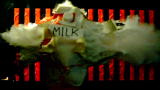 Mythbusters: Milk Muzzle Flash