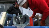 Bering Sea Gold: Clean Out 3
