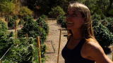 Weed Country Season 1: Santa Loves Weed Growers