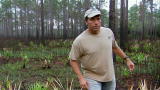 play video on Discovery Channel