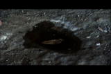 Man vs Wild 1 Shorts 3 min: Mexico Water Compass