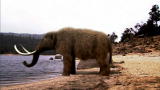 Prehistoric Dallas: Mammoth vs Mastodon