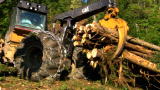 American Loggers: Running a Skidder
