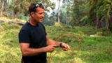 Hogs Gone Wild: Roped In
