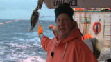 Swords: Danger at Sea