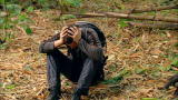 Man vs. Wild: Wall of Frustration