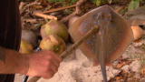 Dual Survival 2: Hunting Stingray