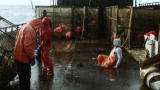Deadliest Catch 7: Finding Your Sea Legs