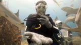 Shark Week: Ferguson Swims With Sharks