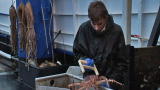Deadliest Catch: Crab Doldrums