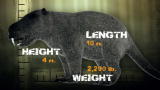 Ratzilla: Mighty Mouse