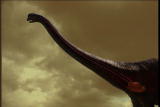 Assignment Discovery Shorts 06/07,07/08: Sauropod Food