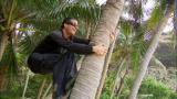 Man vs. Wild: Coconut Tips