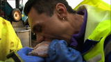 Deadliest Catch: Freddy's Gross Good Luck