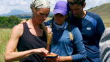 Out of the Wild: Venezuela: Tara Drops Out