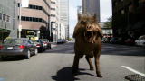 Prehistoric Denver: Terminator Pig